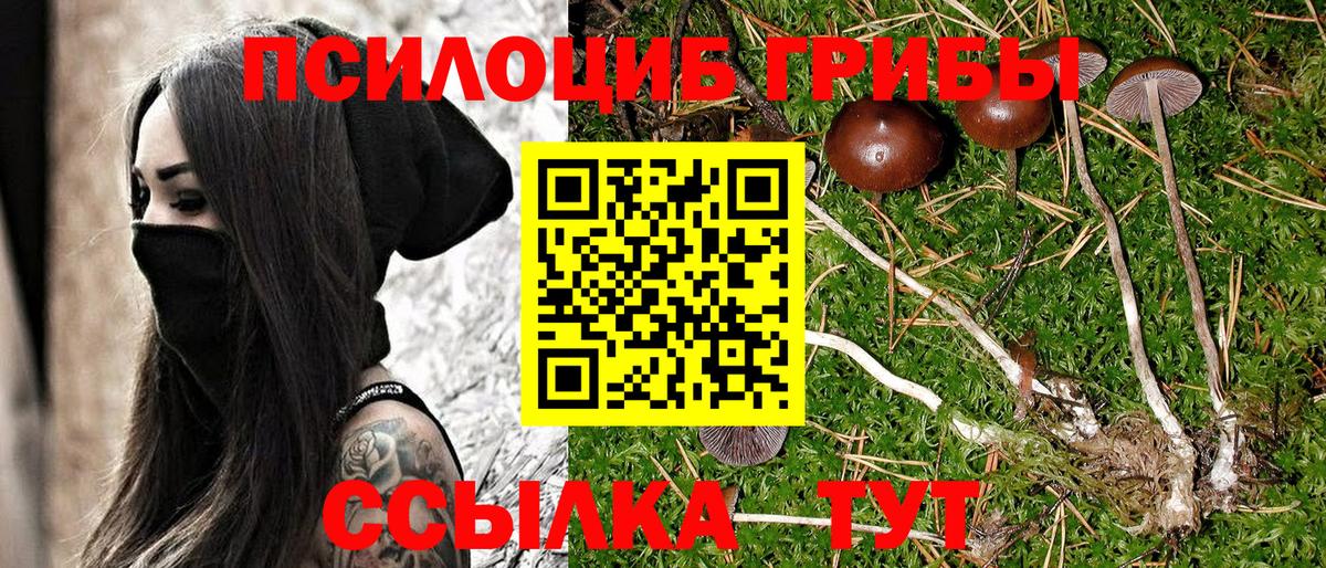 Псилоцибиновые грибы ЛСД  Псилоцибиновые грибы мицелий  Вход с VPN  Киров 